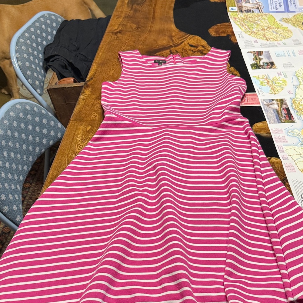 Talbots Pink and White Striped Dress